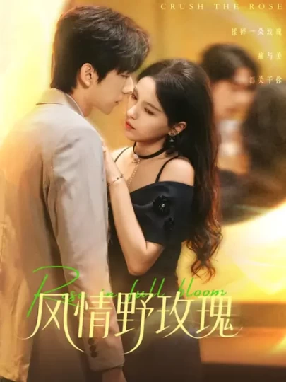 风情野玫瑰＆揉碎玫瑰